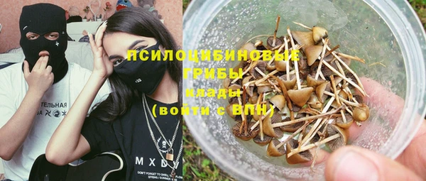 дживик Алзамай