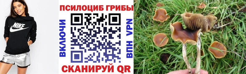 Псилоцибиновые грибы MAGIC MUSHROOMS  кракен ТОР  Ярославль 