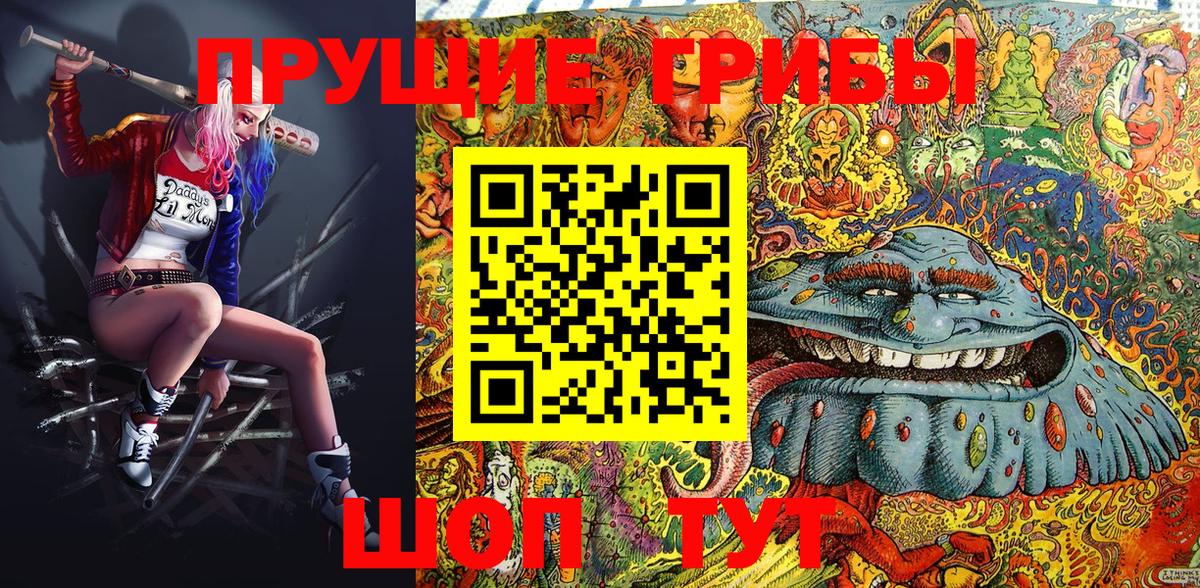 Псилоцибиновые грибы Cubensis Ярославль