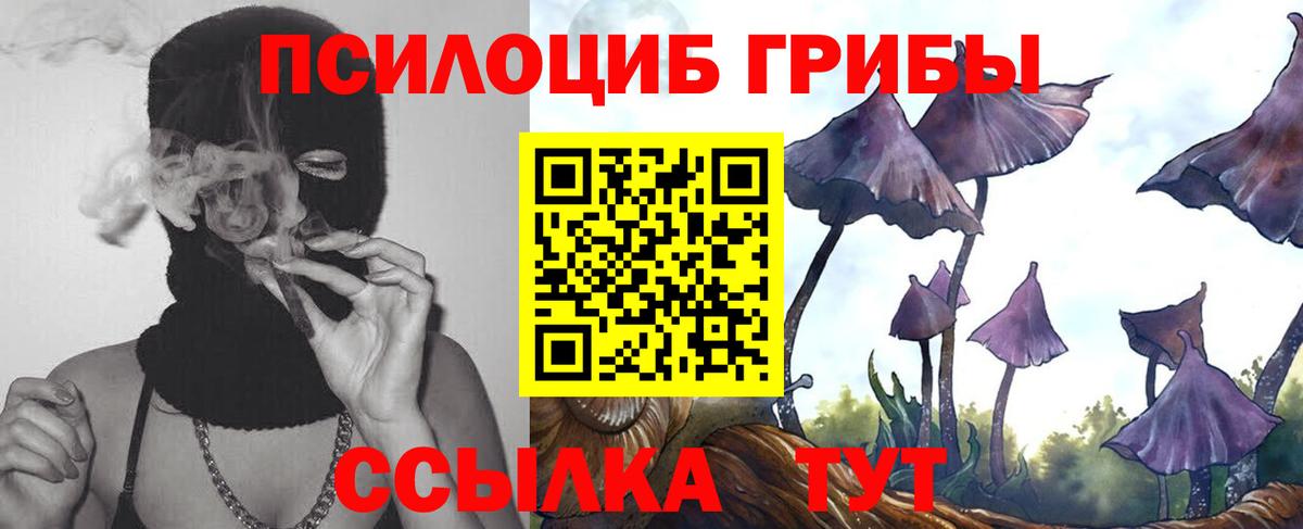 Псилоцибиновые грибы Cubensis  Галлюциногенные грибы ЛСД  Вход с VPN  Ярославль 